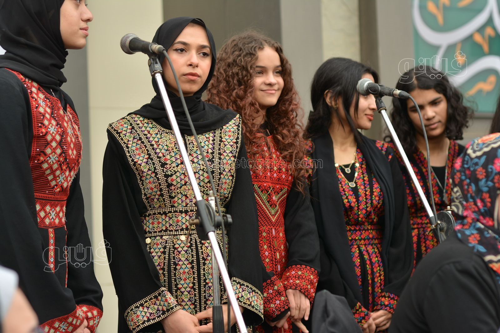 f0c1342010.jpg