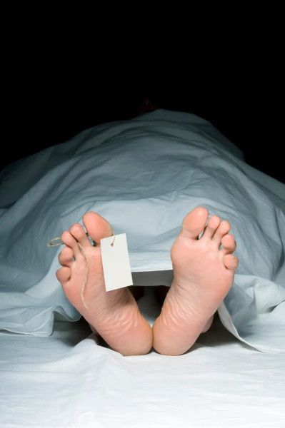 فاجعة في الجزائر.. أب يقتل أطفاله الخمسة وينتحر بـ"روح الملح"