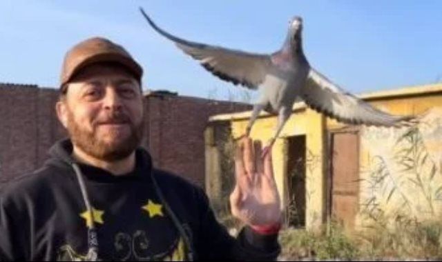 الخوانكى يفوز بالمركز الأول 22 مرة مكرر فى سباقات الزاجل بمحافظة القاهرة المتسابق