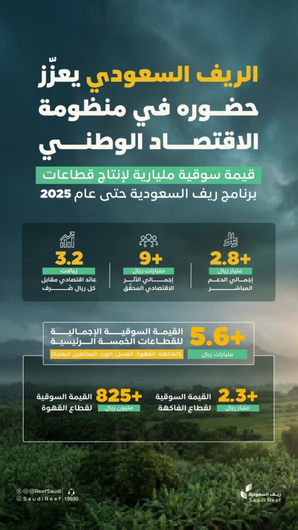 «ريف السعودية»: ارتفاع القيمة السوقية الإجمالية لقطاعات البرنامج لأكثر من 5.6 مليارات ريال