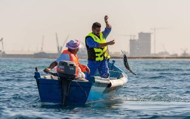هيئة الإحصاء: ارتفاع المتوسط السنوي لأسعار الجملة 2% في 2025