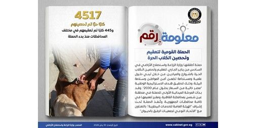 مجلس الوزراء: وزارة الزراعة تُطلق الحملة القومية لتعقيم وتحصين الكلاب الحرة