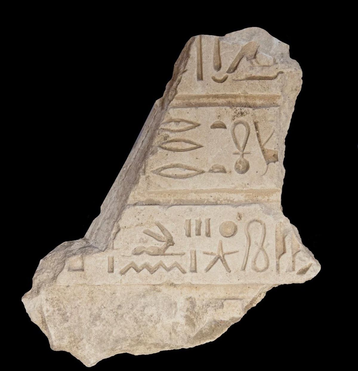 ce3119ca87.jpg