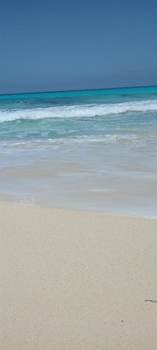 cf87687bbf.jpg