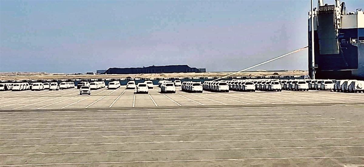 موانئ اقتصادية قناة السويس، فيتو