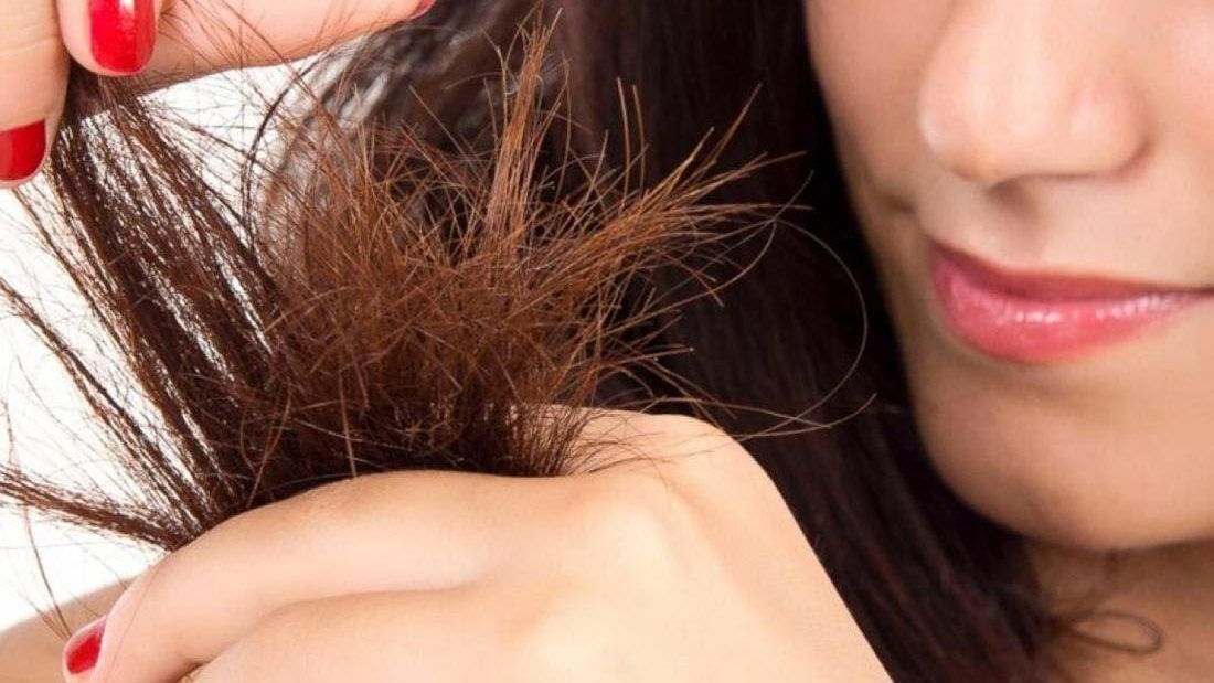 التعامل مع تقصف أطراف الشعر 
