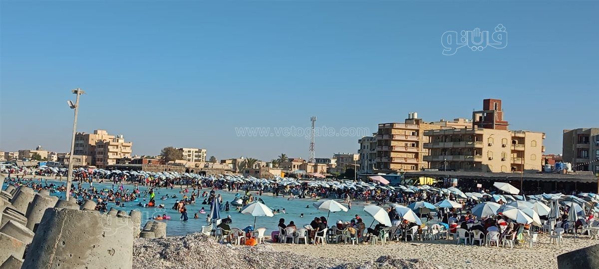 5feee27c43.jpg