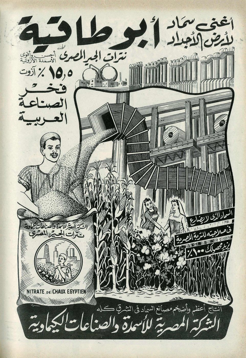 8a15ff6591.jpg