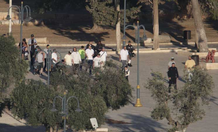 260 مستوطنا إسرائيليا يقتحمون الأقصى ويؤدون طقوسا تلمودية- (صور وفيديو)