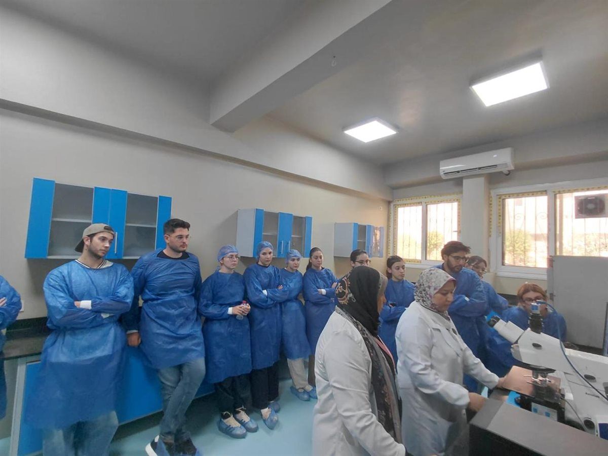 5aaafd58a6.jpg