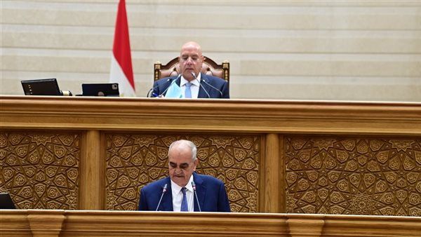 "قانون نص الليل"، نائب يفتح النار على الحكومة بسبب تأجيل الإجراءات الجنائية: "من أمتى بتكون جاهزة؟!"