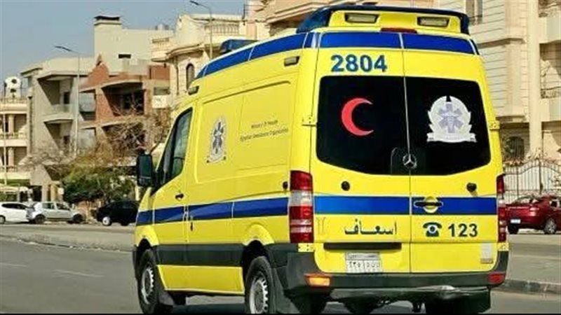 إصابة طالب بجروح قطعية في الرقبة والظهر إثر اعتداء بسكين بالدقهلية