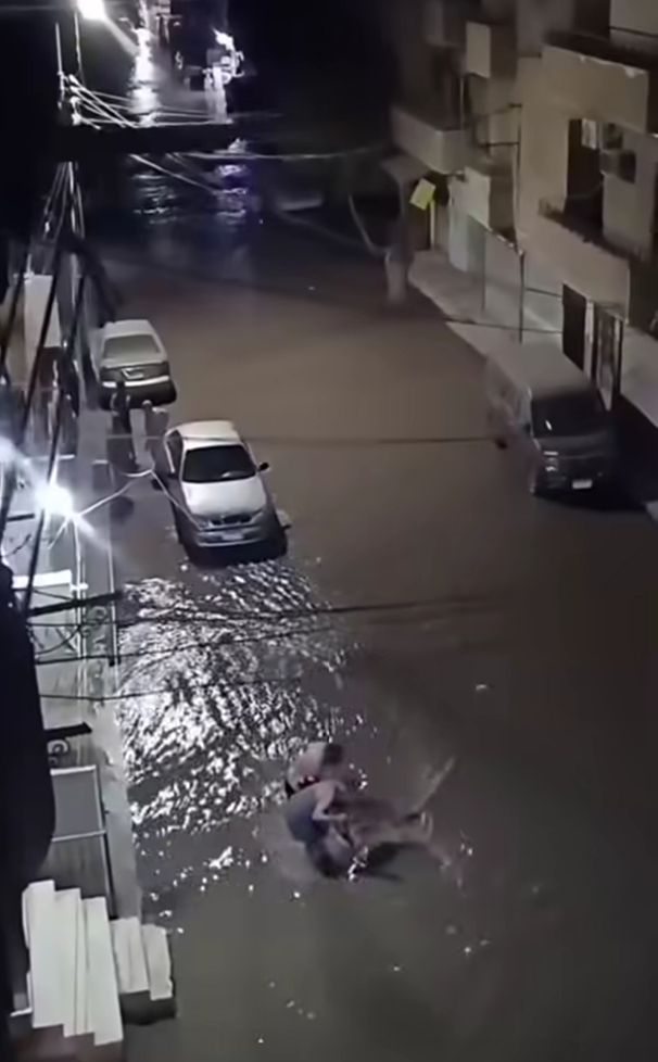 2907317918.jpg