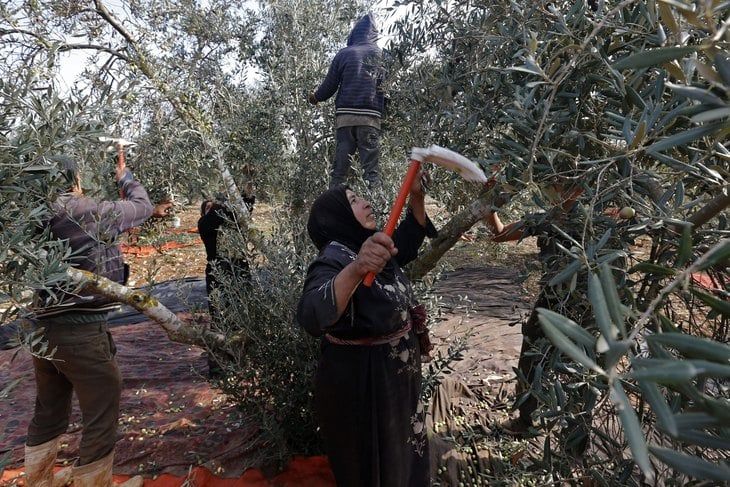 الأردن: حراك ضد استملاك أراضٍ في الأغوار… ومزارعتان تقتحمان اجتماعاً رسمياً