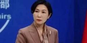 بكين: جميع الدول مدعوة للمشاركة فى المبادرة الصينية الباكستانية لتعزيز الأمن والاستقرار