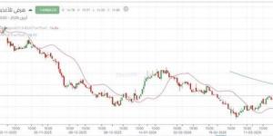 تداولات
      نشطة
      تدفع
      سهم
      "هرفي"
      لمحاولة
      كسر
      الاتجاه
      الهابط