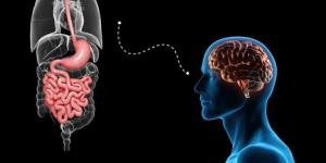 مفاجأة..
      دراسة
      تكشف
      دور
      الأمعاء
      في
      صحة
      الدماغ:
      "النظام
      الغذائي
      يُحَسِّن
      الذاكرة"