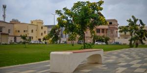 «الأكاسيا جلوكا».. جمال نباتي يثري المشهد السياحي والطبيعي بجازان