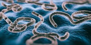 حكاية
      عودة
      "رُعب
      إيبولا"..
      هل
      يواجه
      العالم
      موجة
      وبائية
      جديدة؟