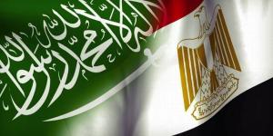 وزير
      الخارجية:
      تنسيق
      مصري
      سعودي
      لحماية
      أمن
      البحر
      الأحمر