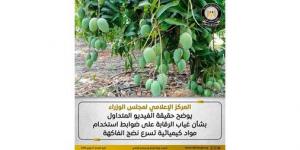 الحكومة
توضح
حقيقة
فيديو
يزعم
غياب
الرقابة
على
استخدام
مواد
كيميائية
بالفاكهة
