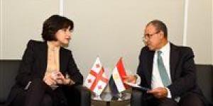 وزير الخارجية يلتقي نائبة رئيس الوزراء وزيرة خارجية جورجيا في نيويورك