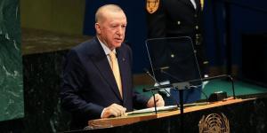 أردوغان: أزمة الصناديق الاستثمارية لا تمثل خطورة على النظام المالي التركي