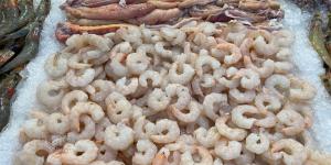 كيلو الثعابين يصل لـ 600 جنيه، أسعار السمك اليوم الإثنين 28 سبتمبر 2026