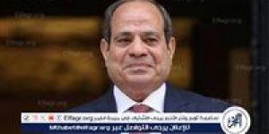 السيسي: مصر خسرت نحو 20 مليار دولار من عوائد قناة السويس
