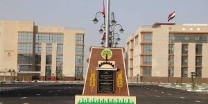 فرص عمل جديدة بالوادي الجديد براتب يصل إلى 19 ألف جنيه