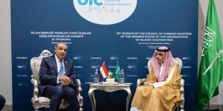 وزير الخارجية يلتقي وزير خارجية مصر