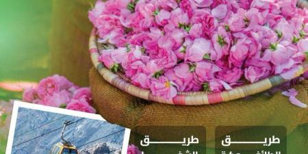 تطور شبكة الطرق المؤدية إلى الطائف يعزز من نمو وازدهار السياحة في عروس المصائف