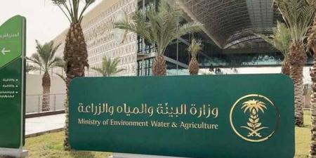 "بيئة
      تبوك"
      تعلن
      عن
      فرصة
      استثمارية
      لإنشاء
      وتشغيل
      بيوت
      محمية
      وزراعة
      مائية