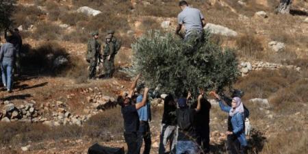 الجيش الإسرائيلي يمنع نشطاء أجانب من الوصول إلى بورين