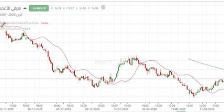 تداولات
نشطة
تدفع
سهم
"هرفي"
لمحاولة
كسر
الاتجاه
الهابط