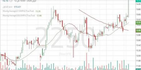 سهم
      "المجموعة
      السعودية"
      يختبر
      مستويات
      مقاومة
      محورية