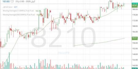 تهدئة
      مؤقتة
      في
      حركة
      سهم
      "بوبا
      العربية"
      داخل
      نموذج
      استمراري