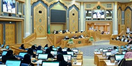 آلية
لتسعير
الطروحات..
أعضاء
بالشورى
يوجهون
مطالبات
لهيئة
السوق
المالية