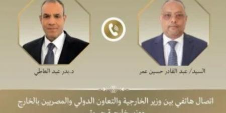 وزير الخارجية ونظيره الجيبوتي يبحثان تطورات الأوضاع في منطقة القرن الأفريقي