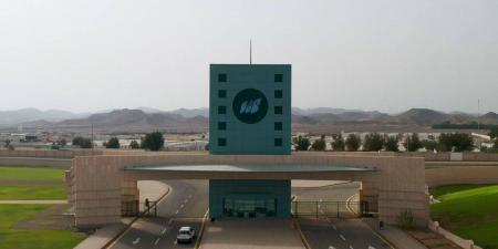 جامعة جدة تنفرد بحزمة من برامج الدراسات العليا النوعية في مجال اللوجستيات