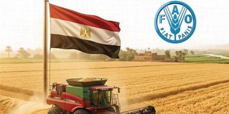 الوزراء: مصر الأولى عربيا في إنتاج القمح خلال 2026 (إنفوجراف)