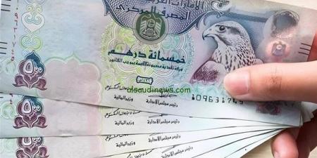 تراجع سعر الدرهم الإماراتي أمام الجنيه في البنوك المصرية اليوم الأربعاء