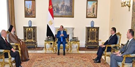 تفاصيل مباحثات السيسي ورئيس تيار الحكمة العراقي (فيديو)