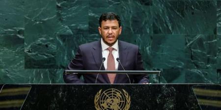 نائب رئيس “الرئاسي اليمني” يدعو المجتمع الدولي لحماية باب المندب