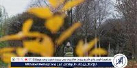 الأرصاد تكشف حالة الطقس حتى الخميس 1 أكتوبر 2026.. أمطار وشبورة ونشاط رياح