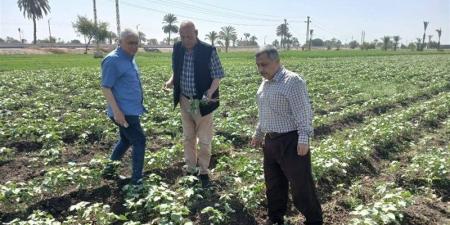 محمود عطا لـ «فيتو»: الإرشاد الزراعي مات والجمعيات الزراعية خرجت من الخدمة