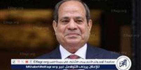 السيسي: مصر خسرت نحو 20 مليار دولار من عوائد قناة السويس