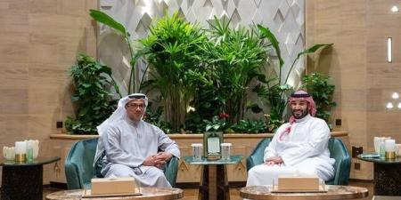 محمد بن سلمان ومنصور بن زايد يبحثان العلاقات السعودية الإماراتية وتطورات المنطقة