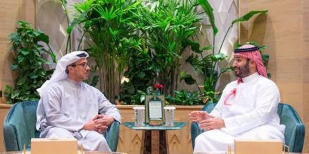 ولي العهد السعودي يلتقي نائب رئيس الإمارات الشيخ منصور بن زايد آل نهيان في الرياض