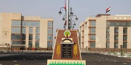 فرص عمل جديدة بالوادي الجديد براتب يصل إلى 19 ألف جنيه